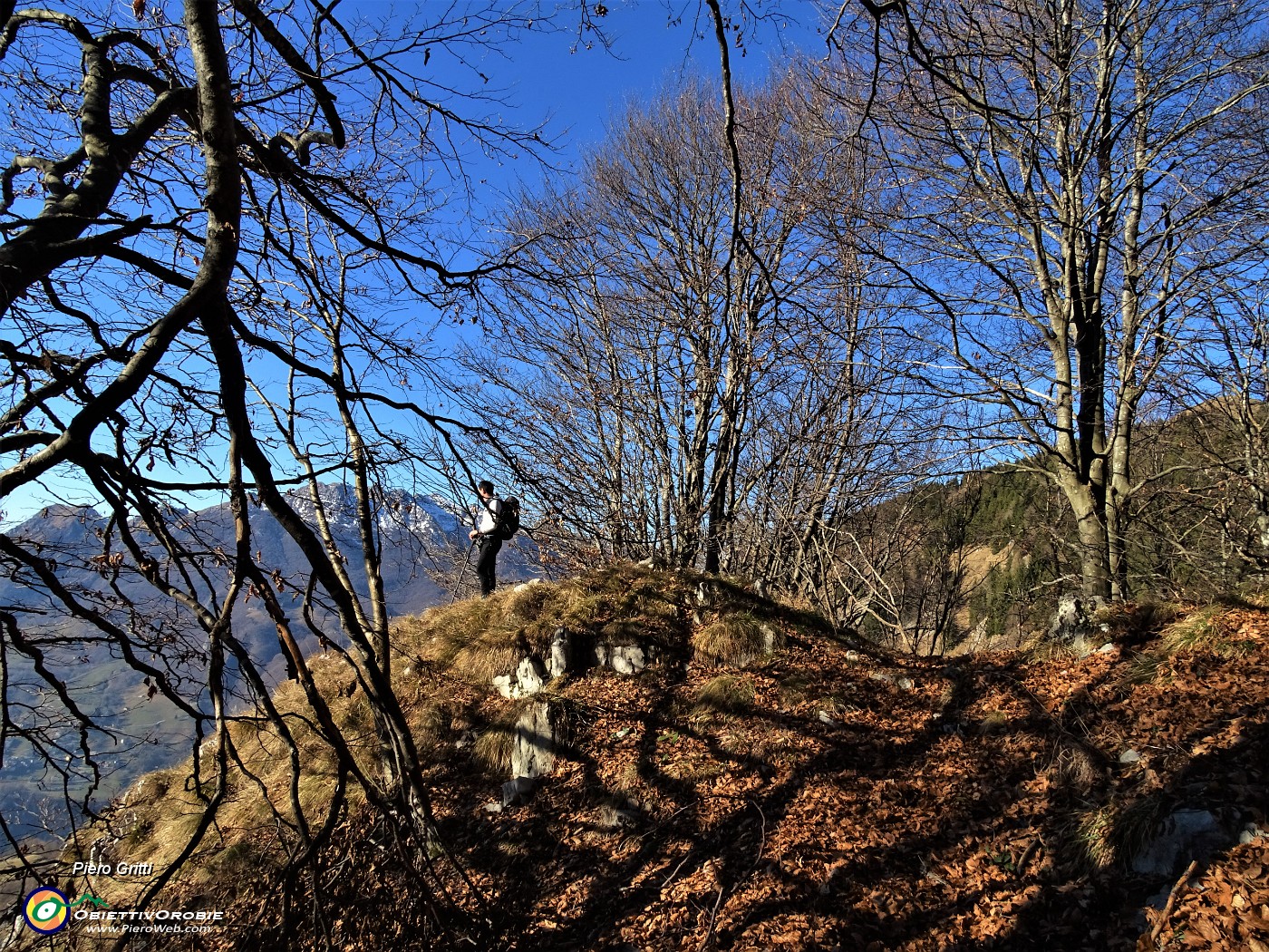 24 Cocuzzolo panoramico sulla Valle Imagna.JPG